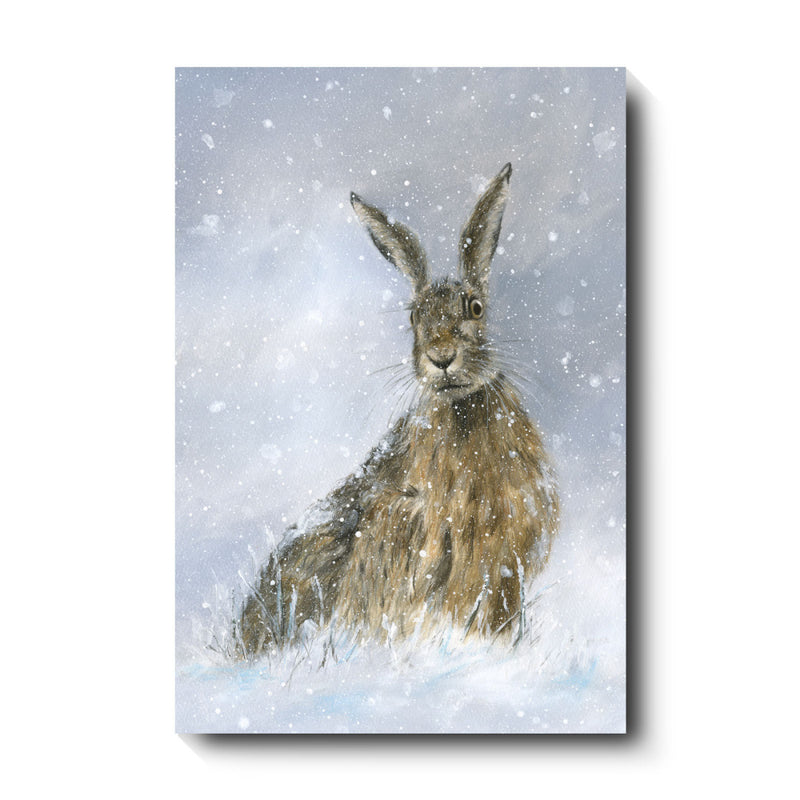 David Pooley Art Winter Hare Canvas 61 x 41cm
