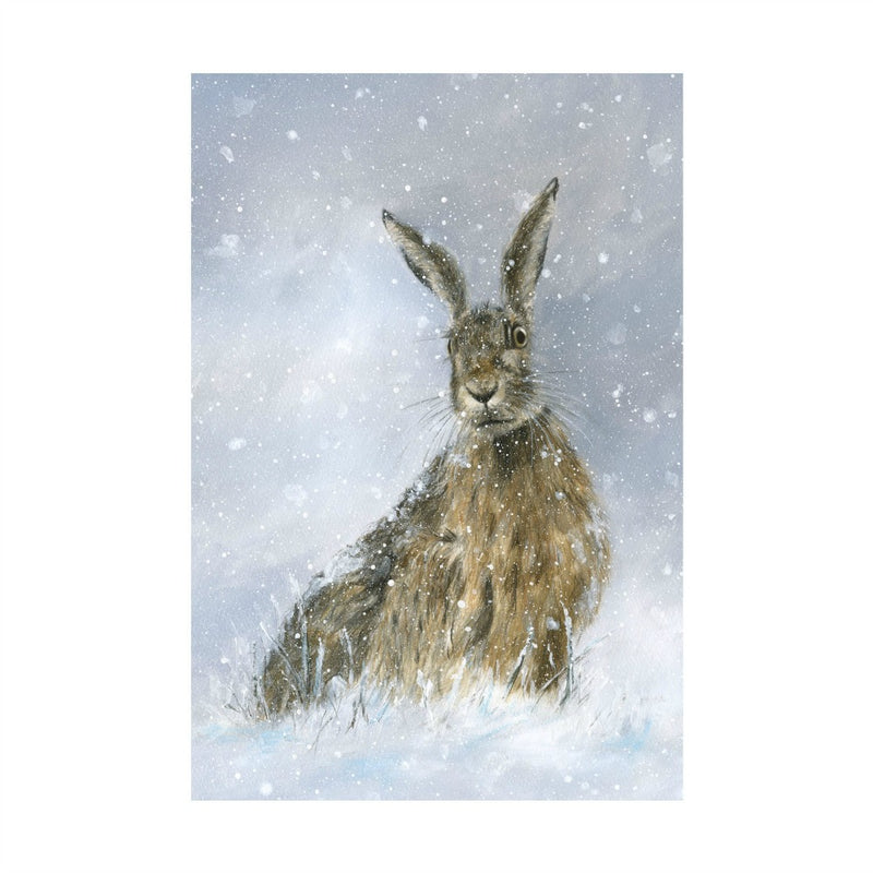 David Pooley Art Winter Hare A3 Print