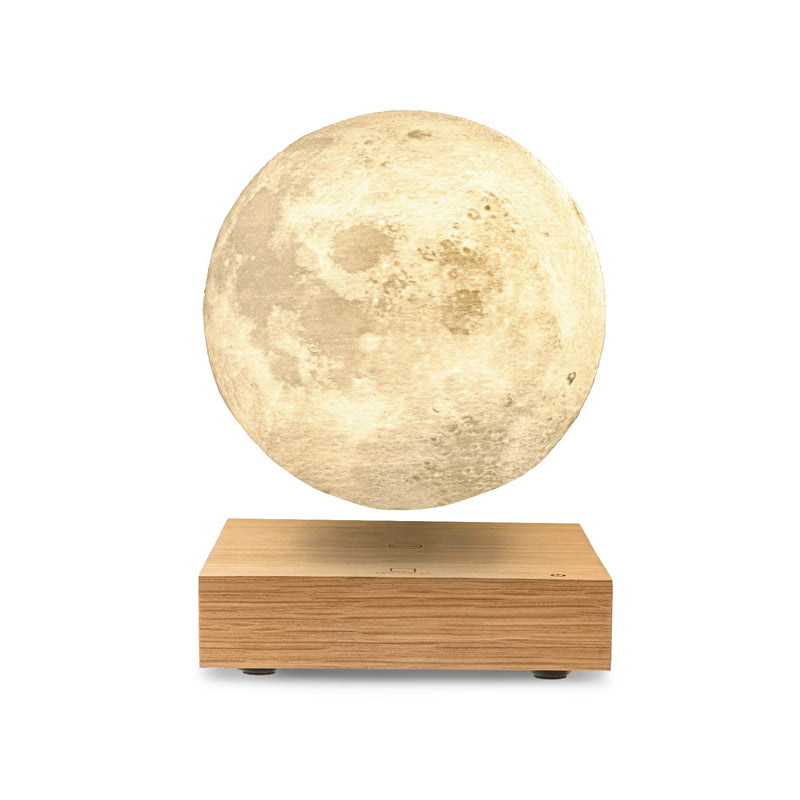 Gingko Smart Moon Lamp White Ash Wood