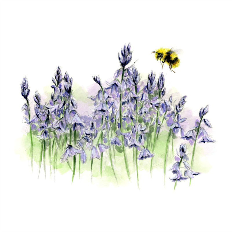 David Pooley Art Bluebells and Bee A3 Print